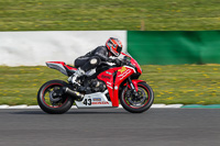 Fast Group Red Bikes