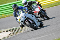 Novice Group Silver/Grey Bikes