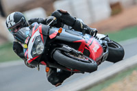 Inter Multicolour Bikes