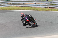 anglesey;brands-hatch;cadwell-park;croft;donington-park;enduro-digital-images;event-digital-images;eventdigitalimages;mallory;no-limits;oulton-park;peter-wileman-photography;racing-digital-images;silverstone;snetterton;trackday-digital-images;trackday-photos;vmcc-banbury-run;welsh-2-day-enduro
