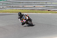 anglesey;brands-hatch;cadwell-park;croft;donington-park;enduro-digital-images;event-digital-images;eventdigitalimages;mallory;no-limits;oulton-park;peter-wileman-photography;racing-digital-images;silverstone;snetterton;trackday-digital-images;trackday-photos;vmcc-banbury-run;welsh-2-day-enduro