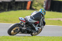 anglesey;brands-hatch;cadwell-park;croft;donington-park;enduro-digital-images;event-digital-images;eventdigitalimages;mallory;no-limits;oulton-park;peter-wileman-photography;racing-digital-images;silverstone;snetterton;trackday-digital-images;trackday-photos;vmcc-banbury-run;welsh-2-day-enduro