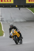 Fast Yellow Bikes