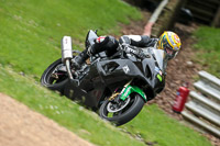Novice Black Bikes