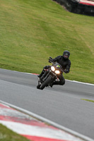 Novice Black Bikes