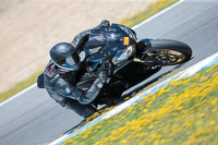14-to-16th-november-2015;Jerez;event-digital-images;motorbikes;no-limits;peter-wileman-photography;trackday;trackday-digital-images
