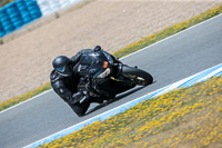 14-to-16th-november-2015;Jerez;event-digital-images;motorbikes;no-limits;peter-wileman-photography;trackday;trackday-digital-images