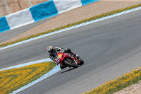 14-to-16th-november-2015;Jerez;event-digital-images;motorbikes;no-limits;peter-wileman-photography;trackday;trackday-digital-images