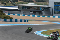 14-to-16th-november-2015;Jerez;event-digital-images;motorbikes;no-limits;peter-wileman-photography;trackday;trackday-digital-images