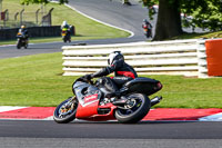 Evening Fast/Inter Multicolour Bikes