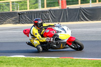 Evening Fast/Inter Silver/Grey Bikes