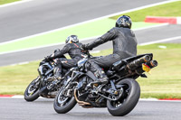 Novice Black Bikes