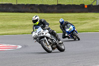 Novice Silver/Grey Bikes