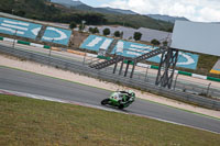 Fast Green Bikes