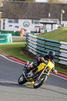 Fast Group Black Bikes