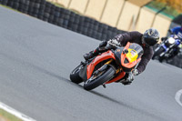 Novce Group Orange Bikes