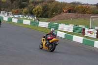 Novce Group Yellow Bikes