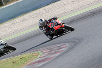 cadwell-no-limits-trackday;cadwell-park;cadwell-park-photographs;cadwell-trackday-photographs;catalunya-barcelona;enduro-digital-images;event-digital-images;eventdigitalimages;no-limits-trackdays;peter-wileman-photography;racing-digital-images;trackday-digital-images;trackday-photos