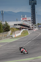 cadwell-no-limits-trackday;cadwell-park;cadwell-park-photographs;cadwell-trackday-photographs;catalunya-barcelona;enduro-digital-images;event-digital-images;eventdigitalimages;no-limits-trackdays;peter-wileman-photography;racing-digital-images;trackday-digital-images;trackday-photos