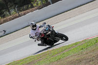 cadwell-no-limits-trackday;cadwell-park;cadwell-park-photographs;cadwell-trackday-photographs;catalunya-barcelona;enduro-digital-images;event-digital-images;eventdigitalimages;no-limits-trackdays;peter-wileman-photography;racing-digital-images;trackday-digital-images;trackday-photos