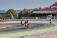 cadwell-no-limits-trackday;cadwell-park;cadwell-park-photographs;cadwell-trackday-photographs;catalunya-barcelona;enduro-digital-images;event-digital-images;eventdigitalimages;no-limits-trackdays;peter-wileman-photography;racing-digital-images;trackday-digital-images;trackday-photos