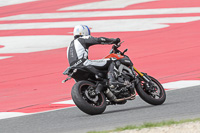 cadwell-no-limits-trackday;cadwell-park;cadwell-park-photographs;cadwell-trackday-photographs;catalunya-barcelona;enduro-digital-images;event-digital-images;eventdigitalimages;no-limits-trackdays;peter-wileman-photography;racing-digital-images;trackday-digital-images;trackday-photos