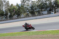 cadwell-no-limits-trackday;cadwell-park;cadwell-park-photographs;cadwell-trackday-photographs;catalunya-barcelona;enduro-digital-images;event-digital-images;eventdigitalimages;no-limits-trackdays;peter-wileman-photography;racing-digital-images;trackday-digital-images;trackday-photos