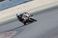 cadwell-no-limits-trackday;cadwell-park;cadwell-park-photographs;cadwell-trackday-photographs;catalunya-barcelona;enduro-digital-images;event-digital-images;eventdigitalimages;no-limits-trackdays;peter-wileman-photography;racing-digital-images;trackday-digital-images;trackday-photos