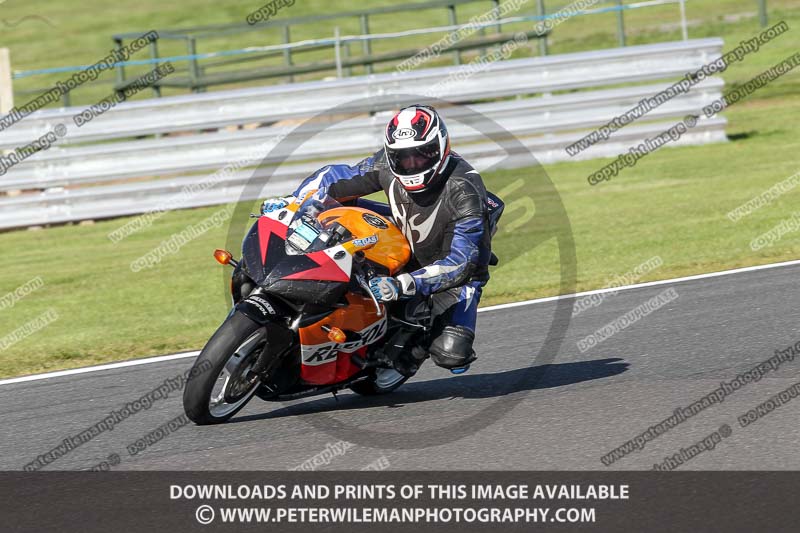 anglesey;brands hatch;cadwell park;croft;donington park;enduro digital images;event digital images;eventdigitalimages;mallory;no limits;oulton park;peter wileman photography;racing digital images;silverstone;snetterton;trackday digital images;trackday photos;vmcc banbury run;welsh 2 day enduro