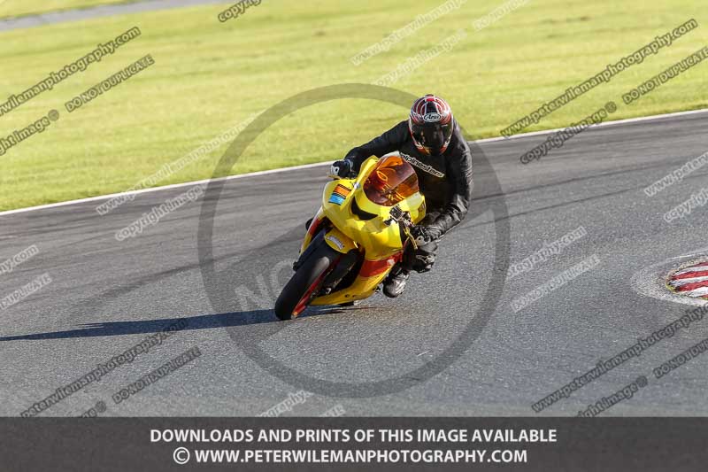 anglesey;brands hatch;cadwell park;croft;donington park;enduro digital images;event digital images;eventdigitalimages;mallory;no limits;oulton park;peter wileman photography;racing digital images;silverstone;snetterton;trackday digital images;trackday photos;vmcc banbury run;welsh 2 day enduro