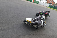 Fast/Inter Group White Bikes