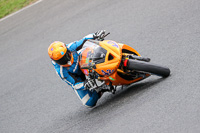 Fast Group Orange Bikes