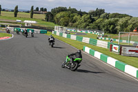Inter Group Green Bikes