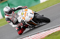 Inter Group Multicolour Bikes