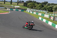 Inter Group Red Bikes