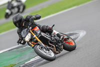 Novice Orange Bikes