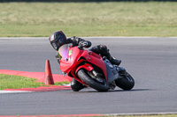 Novice Group Red Bikes