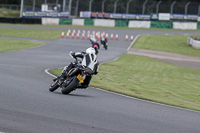 Fast Group White Bikes