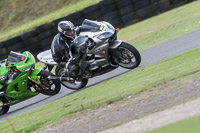 Inter Group Silver/Grey Bikes