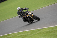 Novice Group Black Bikes