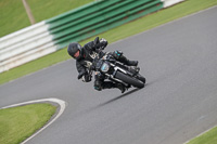 Inter Group Silver/Grey Bikes