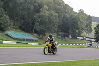 Fast Yellow Bikes