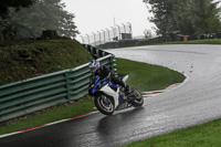 Inter Blue Bikes