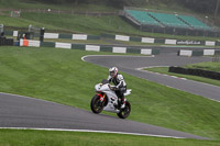 Inter White Bikes