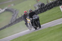 Novice Black Bikes