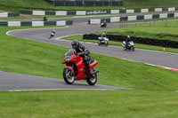 cadwell-no-limits-trackday;cadwell-park;cadwell-park-photographs;cadwell-trackday-photographs;enduro-digital-images;event-digital-images;eventdigitalimages;no-limits-trackdays;peter-wileman-photography;racing-digital-images;trackday-digital-images;trackday-photos