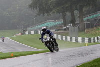 Novice Silver/Grey Bikes