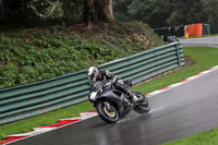 Novice Silver/Grey Bikes