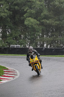 Novice Yellow Bikes