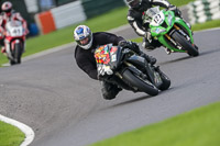Black Bikes